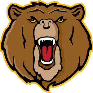Team Page: Brennan High School